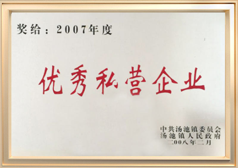 优秀私营企业